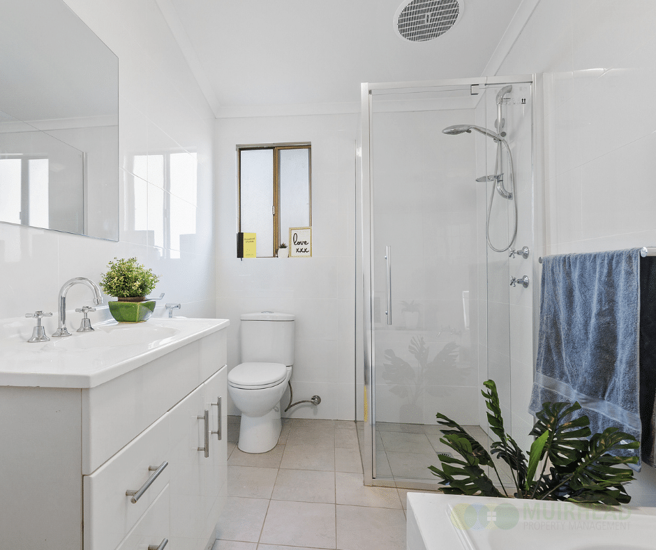 pocket rocket renovator