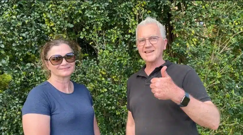 landscape renovation